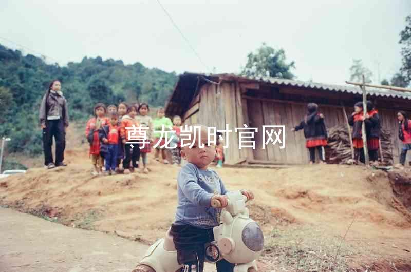 尊龙凯时官网