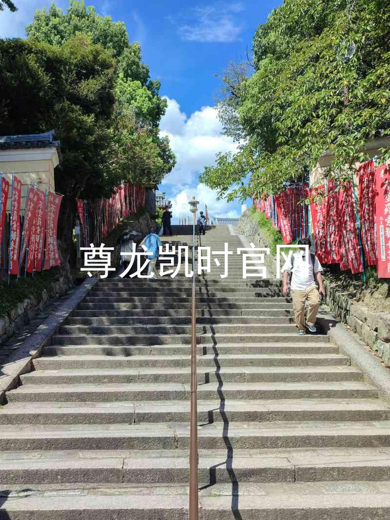 尊龙凯时官网